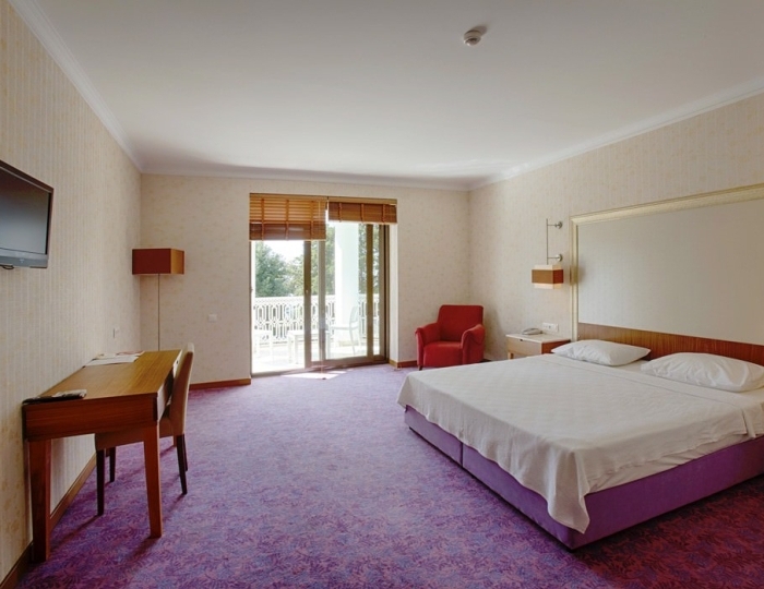 1-мест.(разм. в 2-мест.) повыш. комф. с балк. - Гостиница «Райда» Гагра